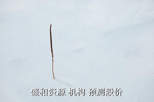 盛和資源 機構(gòu) 預測股價