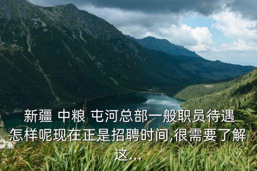  新疆 中糧 屯河總部一般職員待遇怎樣呢現(xiàn)在正是招聘時(shí)間,很需要了解這...
