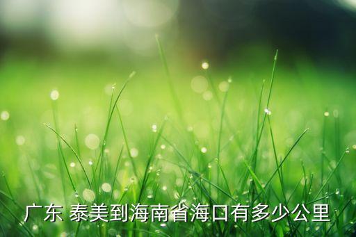 廣東 泰美到海南省?？谟卸嗌俟? class=