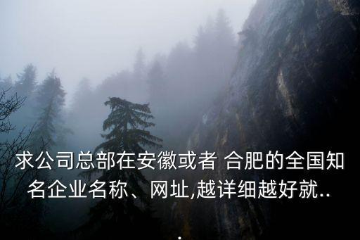 求公司總部在安徽或者 合肥的全國知名企業(yè)名稱、網(wǎng)址,越詳細越好就...