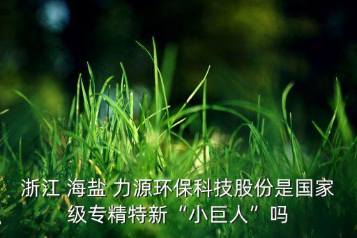 浙江 海鹽 力源環(huán)?？萍脊煞菔菄?guó)家級(jí)專精特新“小巨人”嗎