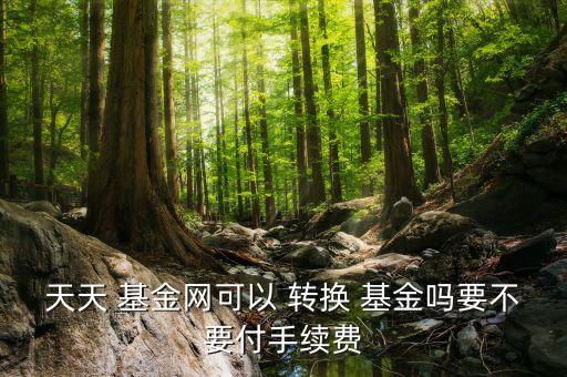 基金超級轉換
