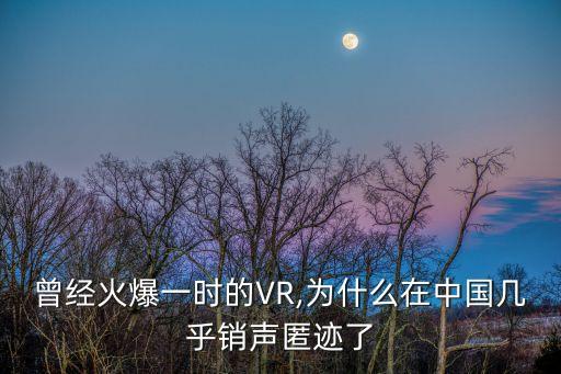 曾經(jīng)火爆一時(shí)的VR,為什么在中國(guó)幾乎銷(xiāo)聲匿跡了