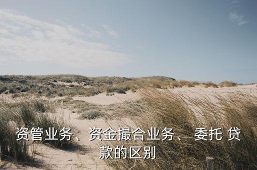 資管業(yè)務(wù)、資金撮合業(yè)務(wù)、 委托 貸款的區(qū)別