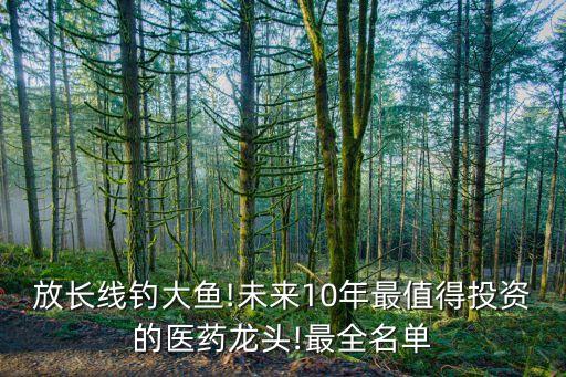 放長(zhǎng)線(xiàn)釣大魚(yú)!未來(lái)10年最值得投資的醫(yī)藥龍頭!最全名單