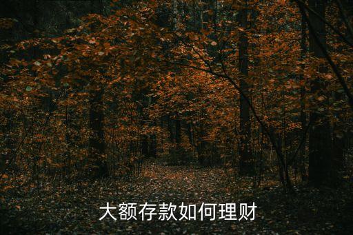  大額存款如何理財(cái)