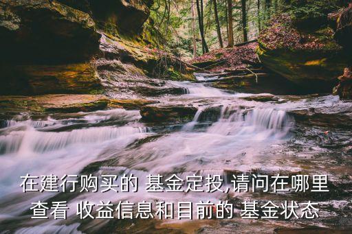 在建行購(gòu)買的 基金定投,請(qǐng)問(wèn)在哪里查看 收益信息和目前的 基金狀態(tài)