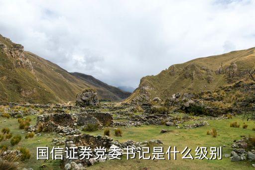 深圳國信集團(tuán)董事長(zhǎng)