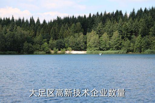 重慶大易科技公司,中國(guó)電信在重慶成立科技公司