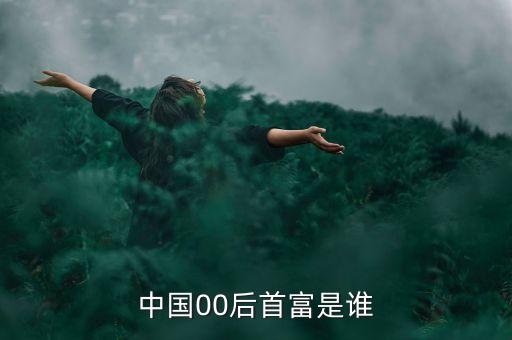 新鴻基中國