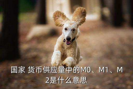 國(guó)家 貨幣供應(yīng)量中的M0、M1、M2是什么意思