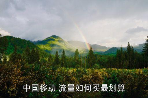 中國移動(dòng) 流量如何買最劃算