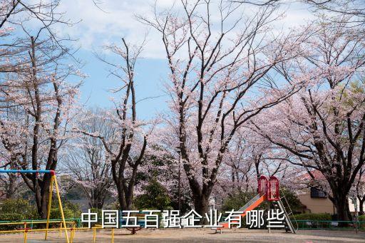 中國(guó)五百強(qiáng)企業(yè)有哪些