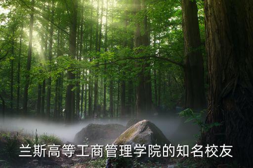 安永上海所法國合伙人,上海安永會(huì)計(jì)師事務(wù)所合伙人