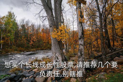 想買個(gè)長線成長性股票,請(qǐng)推薦幾個(gè)要負(fù)責(zé)任,別瞎推