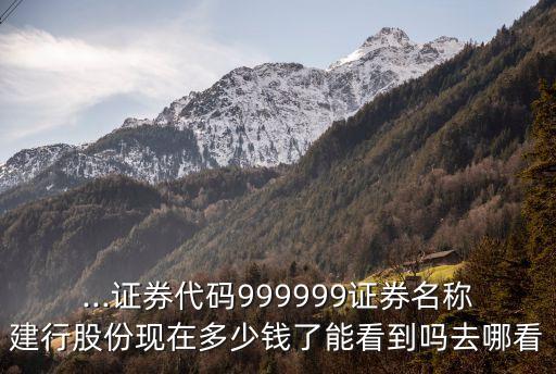 ...證券代碼999999證券名稱建行股份現(xiàn)在多少錢(qián)了能看到嗎去哪看