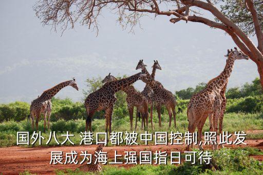 國外八大 港口都被中國控制,照此發(fā)展成為海上強(qiáng)國指日可待