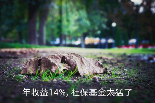 年收益14%, 社?；鹛土? class=