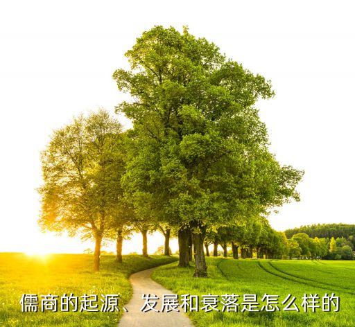 儒商的起源、發(fā)展和衰落是怎么樣的