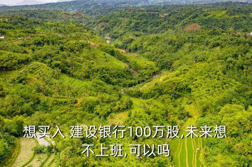 想買(mǎi)入 建設(shè)銀行100萬(wàn)股,未來(lái)想不上班,可以嗎