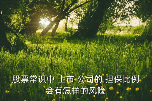 股票常識中 上市 公司的 擔保比例會有怎樣的風(fēng)險