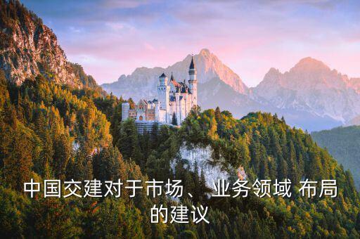 中國交建對于市場、 業(yè)務(wù)領(lǐng)域 布局的建議