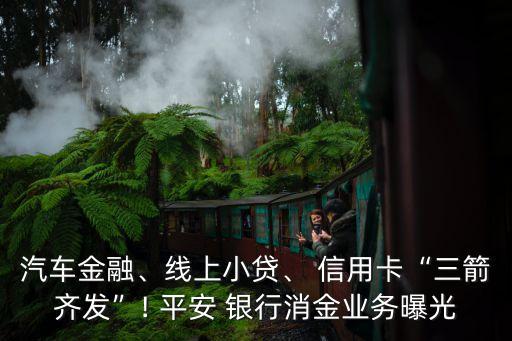 汽車金融、線上小貸、 信用卡“三箭齊發(fā)”! 平安 銀行消金業(yè)務(wù)曝光