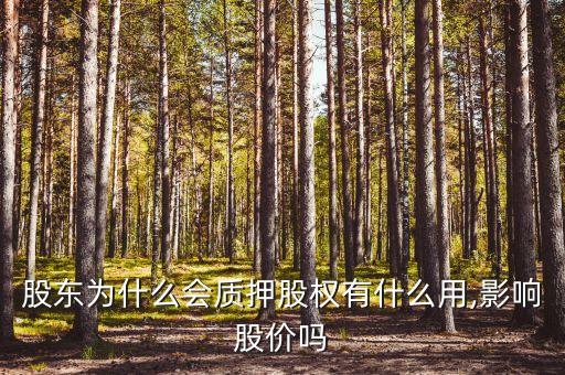 股東為什么會(huì)質(zhì)押股權(quán)有什么用,影響股價(jià)嗎
