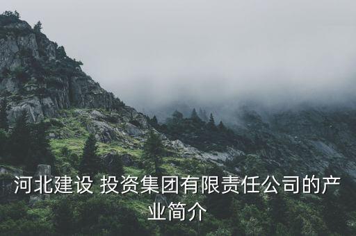 河北建設 投資集團有限責任公司的產(chǎn)業(yè)簡介