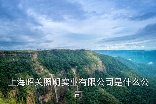  上海昭關(guān)照明實(shí)業(yè)有限公司是什么公司