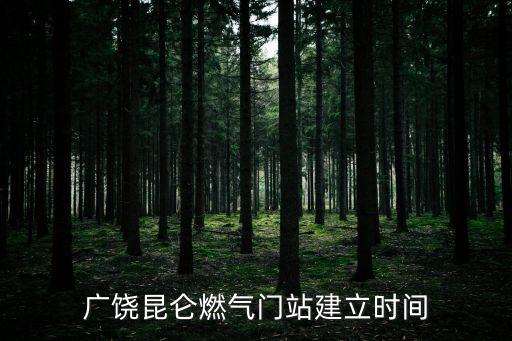廣饒昆侖燃?xì)忾T站建立時間