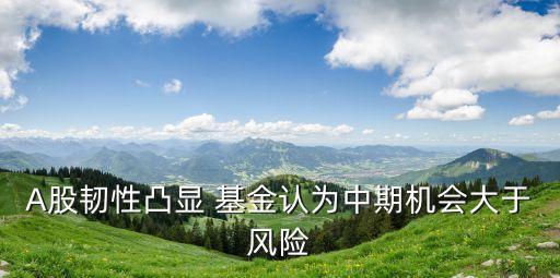 A股韌性凸顯 基金認為中期機會大于風(fēng)險