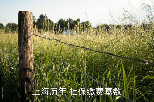 2012社?；鹂傤~,社保基金總額是什么意思