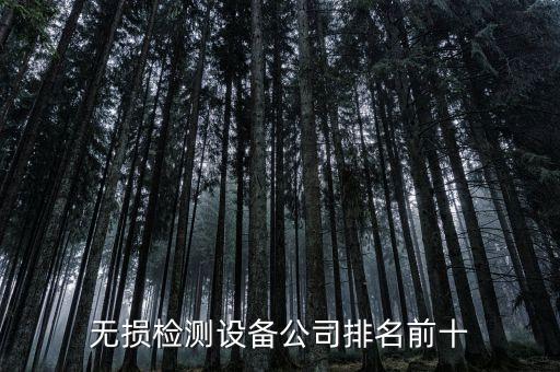 無損檢測設備公司排名前十