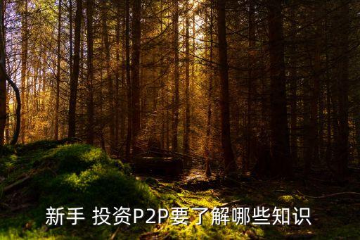 p2p網(wǎng)貸投資時(shí)需要注意哪些問題