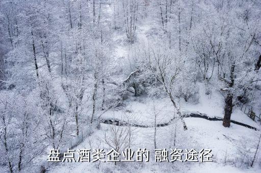 盤(pán)點(diǎn)酒類(lèi)企業(yè)的 融資途徑