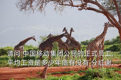 請問 中國移動(dòng)集團(tuán)公司的正式員工,平均工資是多少年底有沒有 分紅謝...
