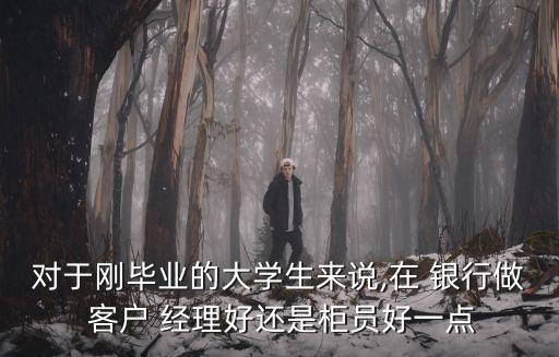 對(duì)于剛畢業(yè)的大學(xué)生來(lái)說(shuō),在 銀行做 客戶(hù) 經(jīng)理好還是柜員好一點(diǎn)