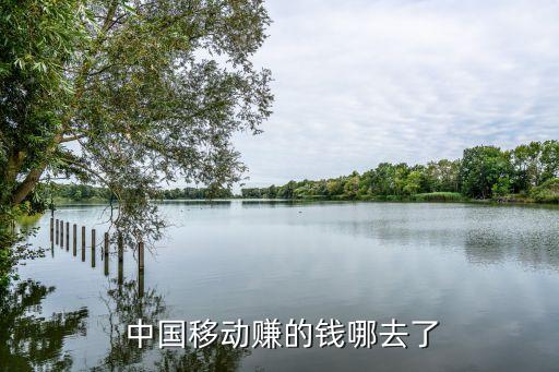  中國移動(dòng)賺的錢哪去了