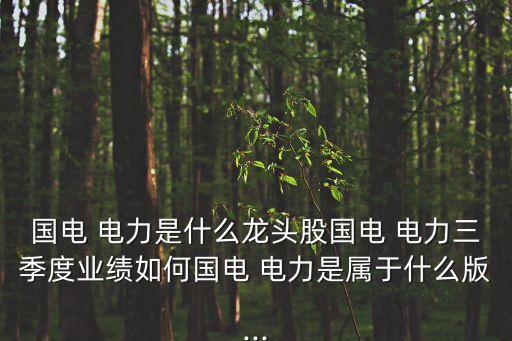 國(guó)電 電力是什么龍頭股國(guó)電 電力三季度業(yè)績(jī)?nèi)绾螄?guó)電 電力是屬于什么版...