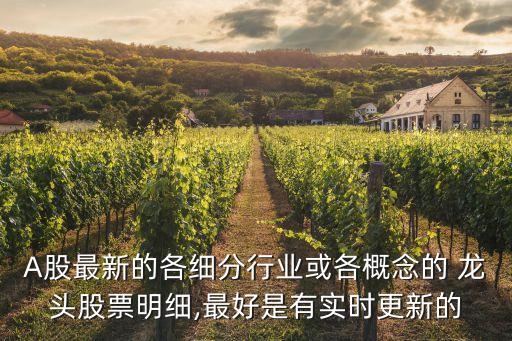 A股最新的各細(xì)分行業(yè)或各概念的 龍頭股票明細(xì),最好是有實(shí)時更新的