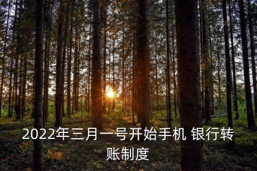 2022年三月一號(hào)開始手機(jī) 銀行轉(zhuǎn)賬制度