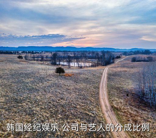 韓國經紀娛樂 公司與藝人的分成比例