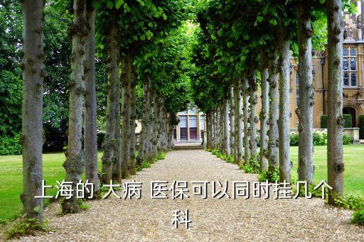  上海的 大病 醫(yī)?？梢酝瑫r掛幾個科