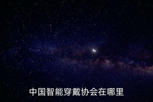 藍(lán)海國(guó)際控股有限公司,深圳中電藍(lán)?？毓捎邢薰靖笨偨?jīng)理