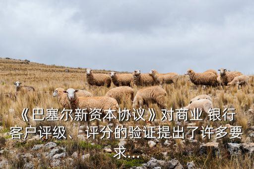《巴塞爾新資本協(xié)議》對商業(yè) 銀行 客戶評級、 評分的驗證提出了許多要求...