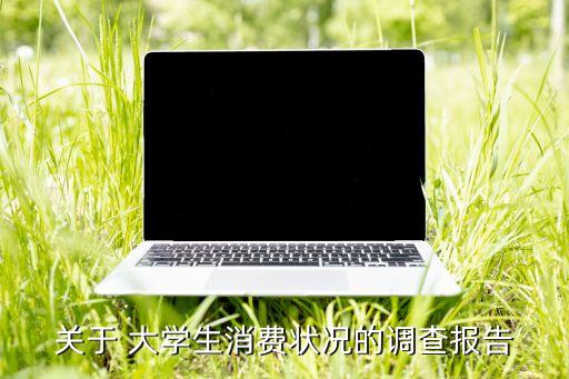 關于 大學生消費狀況的調查報告