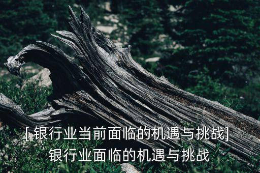 [ 銀行業(yè)當(dāng)前面臨的機遇與挑戰(zhàn)] 銀行業(yè)面臨的機遇與挑戰(zhàn)