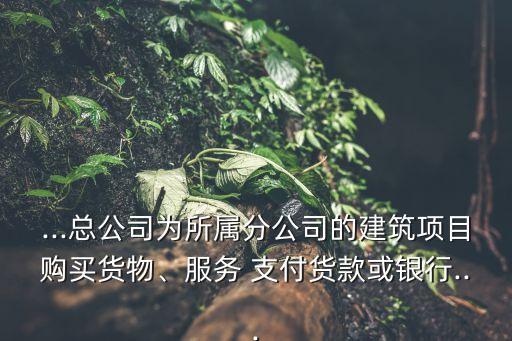 ...總公司為所屬分公司的建筑項目購買貨物、服務(wù) 支付貨款或銀行...