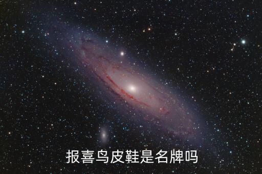 上海報(bào)喜鳥(niǎo)服飾怎么樣,山東報(bào)喜鳥(niǎo)服飾有限公司怎么樣